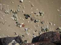 Voir l'image Bra02680-Salvador---------GM--IMGP0594.JPG : 