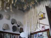 Voir l'image Bra02880-Salvador---------GM--IMGP0621.JPG : 