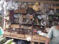 Voir l'image Bra01050-St_amaro---------GM--IMGP0358.JPG : 