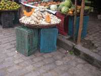 Voir l'image Bra01140-St_amaro---------GM--IMGP0376.JPG : 