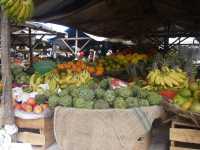 Voir l'image Bra01230-St_amaro---------GM--IMGP0387.JPG : 