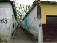 Voir l'image Bra01380-St_amaro---------LD--IMG_4931.JPG : 