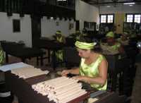 Voir l'image Bra02150-Sao_Felix--------KM--IMG_0256.JPG : La fabrique de cigares pour touristes