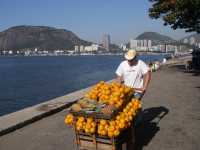 Voir l'image Bra03280-Rio_la_ville-----GM--IMGP0682.JPG : 