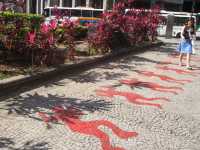 Voir l'image Bra03350-Rio_la_ville-----GM--IMGP0684.JPG : 