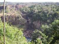 Voir l'image Bra06320-iguacu_bresilien-GM--IMGP1120.JPG : 