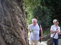 Voir l'image Bra06330-iguacu_bresilien-GM--IMGP1123.JPG : 