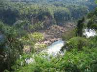 Voir l'image Bra06350-iguacu_bresilien-KM--IMG_0674.JPG : 