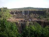 Voir l'image Bra06360-iguacu_bresilien-GM--IMGP1128.JPG : 