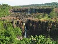 Voir l'image Bra06410-iguacu_bresilien-LD--IMG_5937.JPG : 