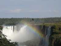 Voir l'image Bra06550-iguacu_bresilien-KM--IMG_0699.JPG : 
