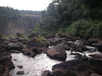 Voir l'image Bra06590-iguacu_bresilien-GM--IMGP1156.JPG : 