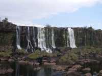 Voir l'image Bra06610-iguacu_bresilien-GM--IMGP1157.JPG : 