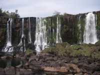 Voir l'image Bra06620-iguacu_bresilien-GM--IMGP1160.JPG : 