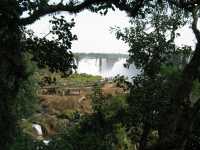 Voir l'image Bra06630-iguacu_bresilien-LD--IMG_5981.JPG : 