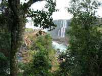 Voir l'image Bra06670-iguacu_bresilien-LD--IMG_5985.JPG : 