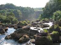 Voir l'image Bra06700-iguacu_bresilien-KM--IMG_0732.JPG : 