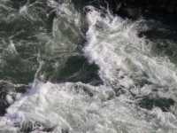 Voir l'image Bra06790-iguacu_bresilien-GM--IMGP1187.JPG : 