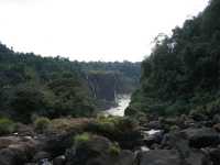 Voir l'image Bra06800-iguacu_bresilien-KM--IMG_0740.JPG : 