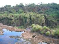 Voir l'image Bra06810-iguacu_bresilien-KM--IMG_0741.JPG : 