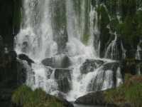 Voir l'image Bra06850-iguacu_bresilien-LD--IMG_6002.JPG : 