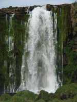 Voir l'image Bra06860-iguacu_bresilien-LD--IMG_6005.JPG : 