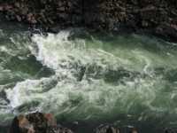 Voir l'image Bra06910-iguacu_bresilien-KM--IMG_0773.JPG : 