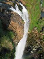 Voir l'image Bra06970-iguacu_bresilien-LD--IMG_6045.JPG : 