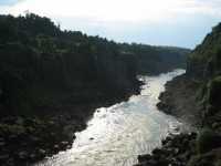 Voir l'image Bra06990-iguacu_bresilien-LD--IMG_6051.JPG : 