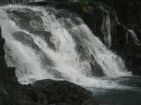 Voir l'image Bra07060-iguacu_bresilien-LD--IMG_6084.JPG : 