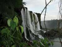 Voir l'image Bra07130-iguacu_bresilien-LD--IMG_6113.JPG : 