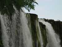 Voir l'image Bra07150-iguacu_bresilien-LD--IMG_6114.JPG : 
