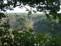 Voir l'image Bra09270-iguacu_bresilien-LD--IMG_6650.JPG : 