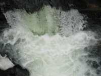 Voir l'image Bra09370-iguacu_bresilien-LD--IMG_6677.JPG : 