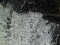 Voir l'image Bra09380-iguacu_bresilien-LD--IMG_6678.JPG : 