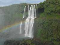 Voir l'image Bra09430-iguacu_bresilien-LD--IMG_6699.JPG : 