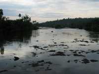 Voir l'image Bra07410-iguacu_argentin--LD--IMG_6186.JPG : 