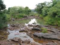 Voir l'image Bra07480-iguacu_argentin--LD--IMG_6200.JPG : 