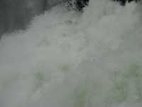 Voir l'image Bra07670-iguacu_argentin--LD--IMG_6216.JPG : 