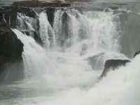 Voir l'image Bra07690-iguacu_argentin--LD--IMG_6224.JPG : 