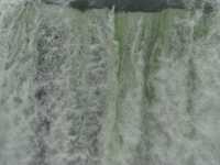 Voir l'image Bra07780-iguacu_argentin--LD--IMG_6234.JPG : 