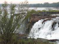 Voir l'image Bra07970-iguacu_argentin--KM--IMG_0950.JPG : 