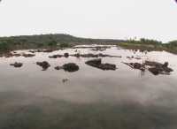 Voir l'image Bra08020-iguacu_argentin--GM--IMGA0204.JPG : 