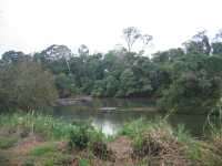 Voir l'image Bra08120-iguacu_argentin--KM--IMG_0988.JPG : 