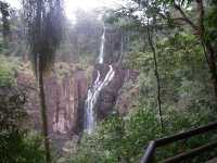 Voir l'image Bra08350-iguacu_argentin--GM--IMGP1322.JPG : 