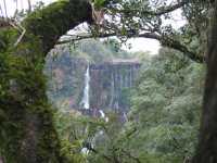 Voir l'image Bra08380-iguacu_argentin--KM--IMG_1059.JPG : 
