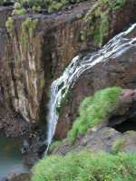 Voir l'image Bra08490-iguacu_argentin--LD--IMG_6387.JPG : 