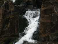 Voir l'image Bra08510-iguacu_argentin--LD--IMG_6397.JPG : 