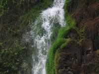 Voir l'image Bra08520-iguacu_argentin--LD--IMG_6403.JPG : 