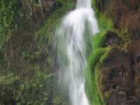 Voir l'image Bra08530-iguacu_argentin--LD--IMG_6411.JPG : 